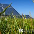 Laterza 1-2, 2MWp c-Si PV system, Puglia, Italy
