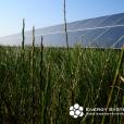 Laterza 1-2, 2MWp c-Si PV system, Puglia, Italy
