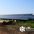 Laterza 1-2, 2MWp c-Si PV system, Puglia, Italy
