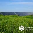 Laterza 1-2, 2MWp c-Si PV system, Puglia, Italy

